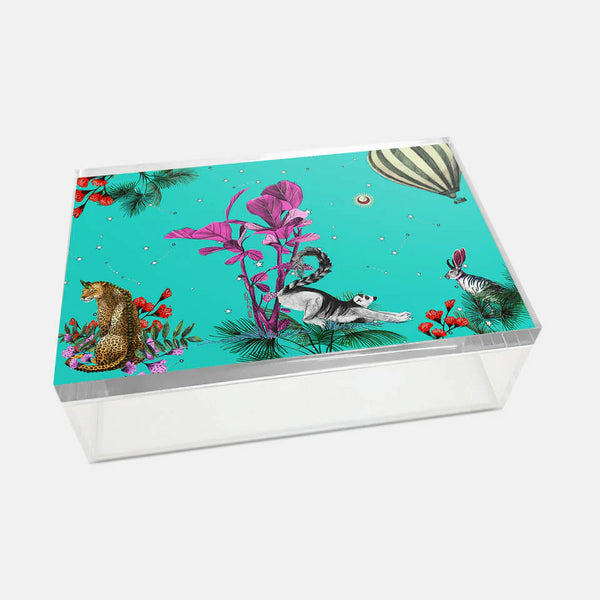 Wonderland Yeşil Rakun Akrilik Kutu