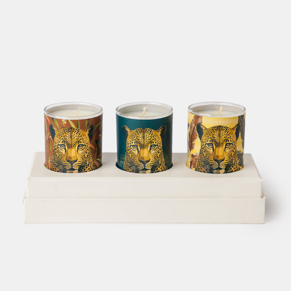Triple Leopard Candles