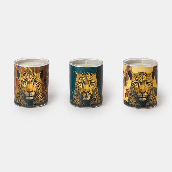 Triple Leopard Candles