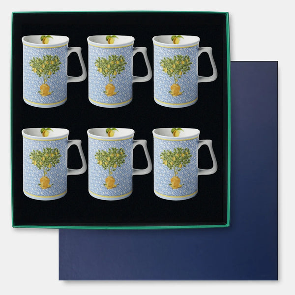 Hazeran Porselen 6'lı Kupa Seti