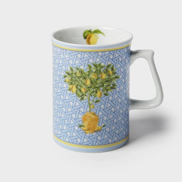 Hazeran Limon Cam Tabaklı Kahve Kupası Set