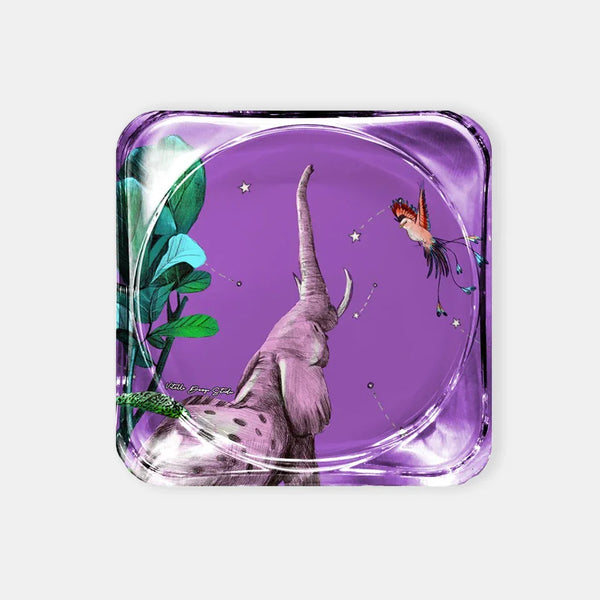 Wonderland Akrilik Bardak Altlığı