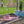Timeless Collection Pembe Akrilik Oval Servis & Sunum Tepsisi | Dekoratif Pleksi Tepsi - Vitelli Design